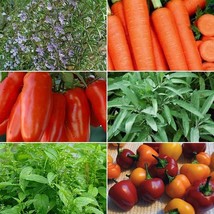 Fast Ship USA Seller Vegetable &amp; Herb Seed Collection #6 6 Pack Variety Of Seeds - £63.86 GBP