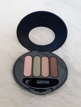 Avon True Color Eyeshadow Quad - &quot;LUSH BLUSH&quot; - (RARE) - NEW!!! - $19.45