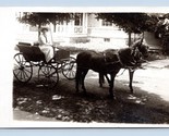 RPPC Cavallo E Buggy Driven Da Donna IN Bianco Cartolina M16 - $10.20