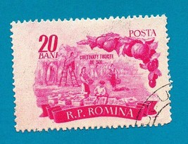 Romania (used postage stamp) 1955 Agriculture #1545 - £0.19 GBP