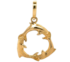 Authenticity Guarantee

Dolphin Circle 14k Yellow Gold Pendant 3.7g - $563.50