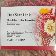 HuaXianLink Elegantly Preserved Multicolor Dried Flowers for Home Decor,... - €8,64 EUR