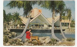 Vintage Postcard Busch Gardens Tampa Florida Hospitality House Woman Deer MCM - £5.53 GBP