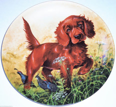 Irish Setter Collector Plate 1988 Missing the Point United Kennel Club COA  - $49.95