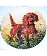 Irish Setter Collector Plate 1988 Missing the Point United Kennel Club COA  - £39.92 GBP