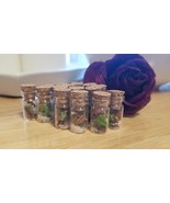 Micro Manifestation Jar (Contains Crystal, Herbs, More - Spirit Keeping,... - $20.00