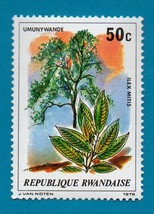 Rwanda (used postage stamp) 1979 Trees  Scott #917 - $1.99