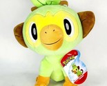 New! 8” Pokemon GROOKEY Plush Soft Green Monkey Sitting Jazwares - New w... - £18.07 GBP