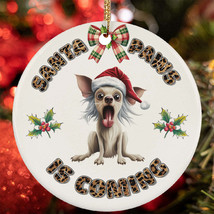 Funny Santa Paws Chinese Crested Dog Lover Christmas Ornament Gift Decor Hanging - $15.79