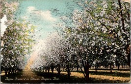 Arkansas Rogers Apple Orchard in Bloom Posted 1913 Owasa Iowa Antique Postcard - £5.90 GBP