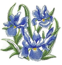 Custom Blooming Flowers Sketch[Sketched Irises ] Embroidered Iron on/Sew... - $12.86