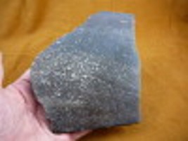 (DF371-16) 12 oz Fossil REAL DINOSAUR Bone cabbing slab lapidary dinos fossils - £57.53 GBP