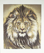 &quot;African Lion&quot; by Martin Gilbert Katon Signed Trial Proof TP Lithograph 29&quot;x24&quot; - £382.28 GBP