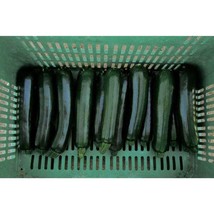 USA SELLER Desert Organic Squash Seeds Fast Shipping - $11.24