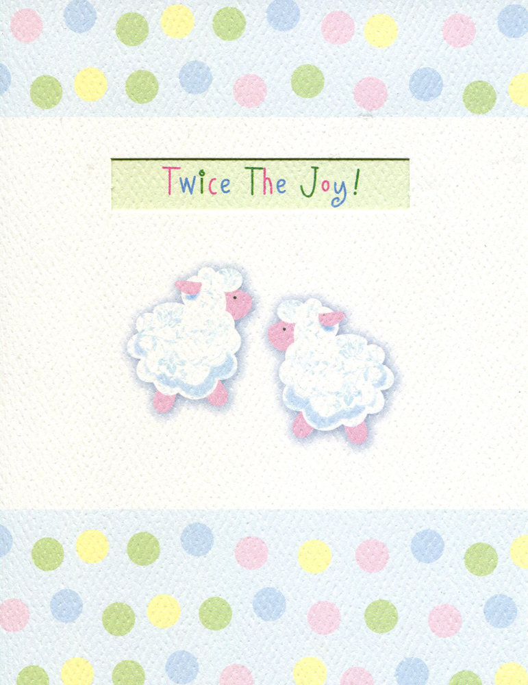 Greeting Note Card New Baby (Twins) "Twice The Joy!"  - $2.95