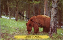 Greetings from Wonderful Wyoming Postcard PC347 - £3.92 GBP