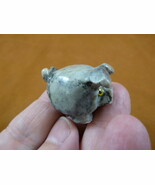 Y-PIG-TH-19) gray THREE LEGGED PIG carving pigs SOAPSTONE FIGURINE Lucky... - €7,40 EUR