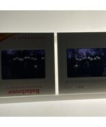 35mm Slides 1980s Fluor Company Workers In Hard Hats  - €6,16 EUR
