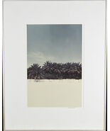 Senza Titolo (Palma Alberi) Firmato Fotografia Da Chet D&#39;Autremont con C... - $3,029.25 MXN