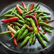 25 Seeds Thai Pepper Vegetables Garden  - £7.67 GBP