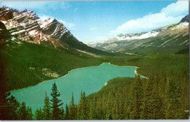 Mt Patterson and Peyto Lake Banff National Park Postcard - £5.52 GBP
