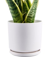 Tagobar Planter Plant Pot - 7.5 Inch Indoor Pot Ceramic White w/ Drainag... - €42,97 EUR