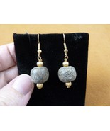 (DP3-625) REAL Late Pleistocene Stegodon gray stone bead gold dangle Ear... - $16.99