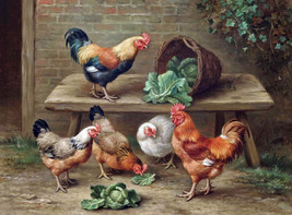 Framed canvas art print giclee Cabbage thieves chickens rooster country farm - £31.84 GBP+