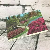 Vintage Postcard Florida’s Cypress Gardens Scenic Nature Collectible Travel - £5.50 GBP