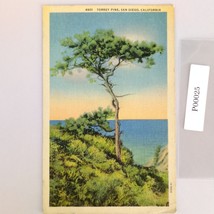Vintage 1942 Linen Postcard Torrey Pine San Diego California Ocean View ... - $14.92