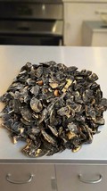 Amaltas pods Purging Cassia Fistula Ayurveda Amaltas 50g - $12.10