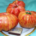 30 Seeds VINTAGE WINE TOMATO   For your Garden - $8.95