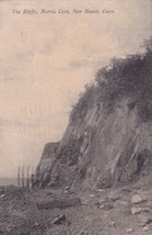 Bluffs Morris Cove New Haven Connecticut CT 1908 Postcard E26 - $9.99