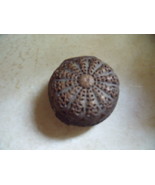 Hinged Cushion Style Filigree Metal Snuff, Trinket or Pill Box - $307.73 CAD