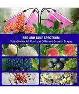 4 Head LED Grow Light Plant Growing Red Blue Indoor Plant Hydroponic Lam... - $18.95