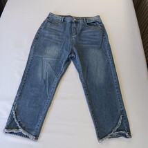 High Rise Women's Blue Cotton Blend Front Leg Frayed Denim Jeans Size XL (32×24) image 11