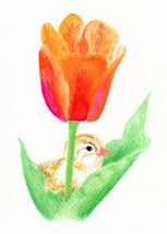 &quot;Tulip and Chick,&quot; an A. Rose Designs (tm) note card - $5.95+