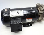 Dayton 53EC06 Turbine Pump 3 Hp, 208-230 To 460V w/ PP2LTAG23TDEG Motor ... - $326.86
