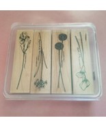 Stampin Up Rubber Stamp Set 4 Long Stemmed Flowers Calla Allium Narcissus Iris - $19.95