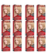 12-Revlon ColorSilk Beautiful Color#73 Champagne Blonde 1 Application Ha... - $113.86 CAD