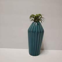 Air Plant in Blue Ceramic Holder, Bud Vase with Airplant, Mediterranean decor image 2