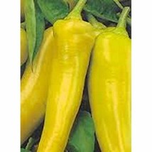 25 Seeds Sweet Banana Peppers Vegetables Usa Seller - £7.18 GBP