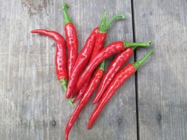 25 Long Thin Red Cayenne Pepper Seeds Non-Gmo - $4.00