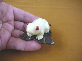 tn-frog-600) Red eyed Tree FROG frogs TAGUA NUT Figurine Carving Vegetab... - $24.84