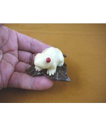 tn-frog-600) Red eyed Tree FROG frogs TAGUA NUT Figurine Carving Vegetab... - $467.57 MXN