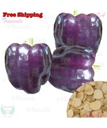 MBK 20 Firecracker Fast Ship - $236.91 MXN