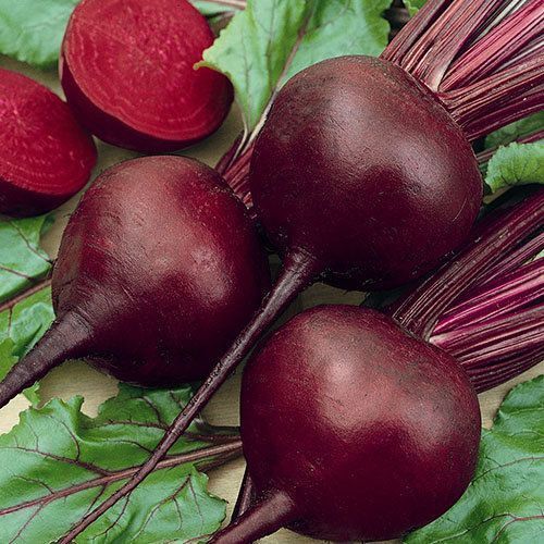 150+ Detroit Dark Red Beet Seeds- NON GMO- Open Pollinated-Organic - $4.00
