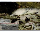 Alewive Stream Damariscotta Mills Maine ME DB Postcard U7 - $6.88