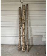 Set Of 3 Long Wood Tree Trunks Used In A Window Display Prop - $49.50