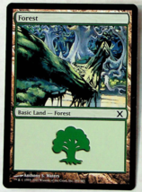 Forest #380 - 10th Edition - 2007 - Magic The Gathering - $2.29